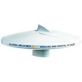 Glomex TV + FM Radio Talitha V9125/12 Antenna MT5637002 Glomex TV + FM Radio Talitha V9125/12 Antenna MT5637002