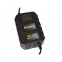 Caricabatterie portatile 12V 20A Max 110-240V Auto Moto N52421020866-20%