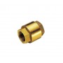 Brass check valve Thread 1-1/2 inches OS1723206