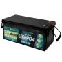 TopSolar Batteria al Litio LiFePO4 24V 100Ah 25,6V BMS Smart integrato N51120050959-50%