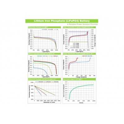 Batteria al Litio LiFePO4 12v 100Ah TopSolar ITALIA 12,8V 1280Wh BMS Smart  integrato (60Giorni)