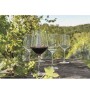 Set 4 Coppe di Vino GLASS 420ml 79x220mm N20217400020-15%