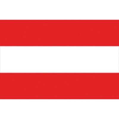 Flag of Austria 20X30cm N30112503670
