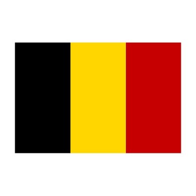 Bandiera Belgio 20x30cm N30112503800-0%