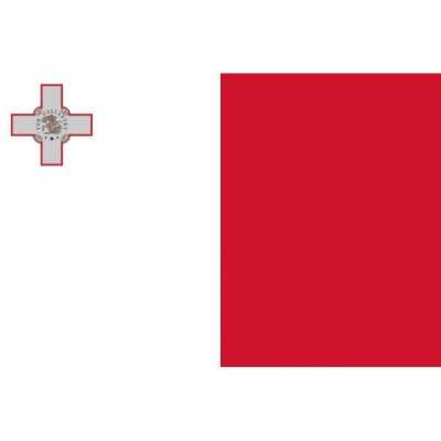 Flag of Malta 20x30cm N30112503713