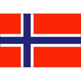 Flag of Norway 20X30cm FNI5252353 Flag of Norway 20X30cm FNI5252353
