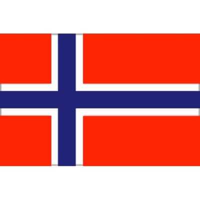 Flag of Norway 20X30cm FNI5252353