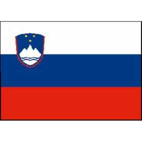 Flag of Slovenia 20X30cm N30112503692 Flag of Slovenia 20X30cm N30112503692