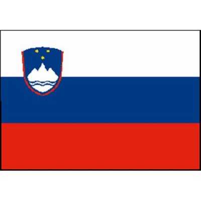 Bandiera Slovenia 30X45cm N30112503693-40%