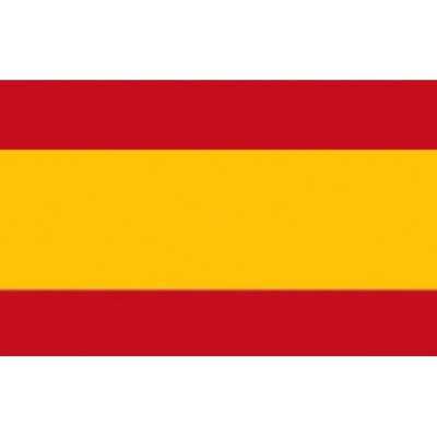 Spain Flag 20x30cm OS3545001