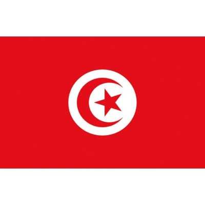 Tunisia Flag 20x30cm OS3543801