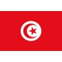 Tunisia Flag 20x30cm OS3543801