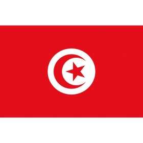 Tunisia Flag 40x60cm OS3543803