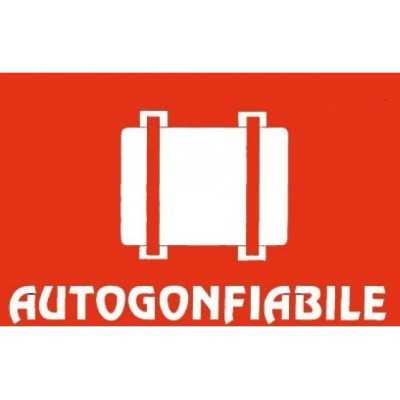 Adesivo CE Autogonfiabil 127x80mm in PVC Rosso Fondo Bianco N31812621835-40%
