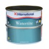 International Watertite Epoxy Filler 1Lt N702458COL671